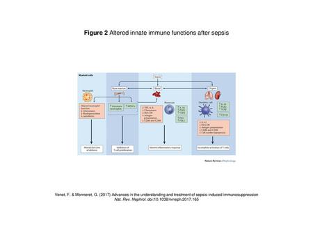 Figure 2 Altered innate immune functions after sepsis