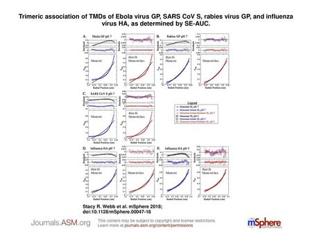 Trimeric association of TMDs of Ebola virus GP, SARS CoV S, rabies virus GP, and influenza virus HA, as determined by SE-AUC. Trimeric association of TMDs.