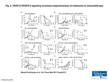 Fig. 2. VEGF-C/VEGFR-3 signaling increases responsiveness of melanoma to immunotherapy. VEGF-C/VEGFR-3 signaling increases responsiveness of melanoma to.