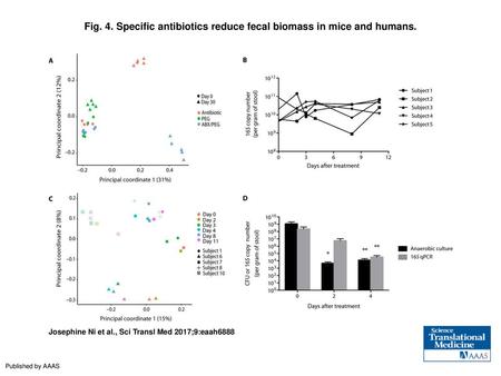 Fig. 4. Specific antibiotics reduce fecal biomass in mice and humans.