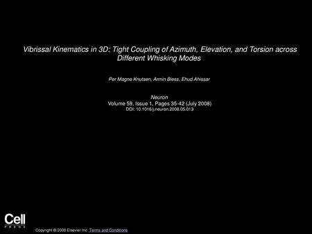 Vibrissal Kinematics in 3D: Tight Coupling of Azimuth, Elevation, and Torsion across Different Whisking Modes  Per Magne Knutsen, Armin Biess, Ehud Ahissar 
