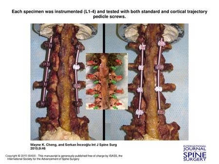 Each specimen was instrumented (L1-4) and tested with both standard and cortical trajectory pedicle screws. Each specimen was instrumented (L1-4) and tested.