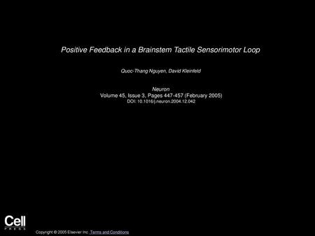 Positive Feedback in a Brainstem Tactile Sensorimotor Loop