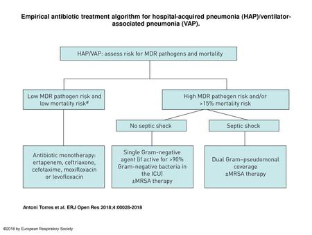 Empirical antibiotic treatment algorithm for hospital-acquired pneumonia (HAP)/ventilator-associated pneumonia (VAP). Empirical antibiotic treatment algorithm.