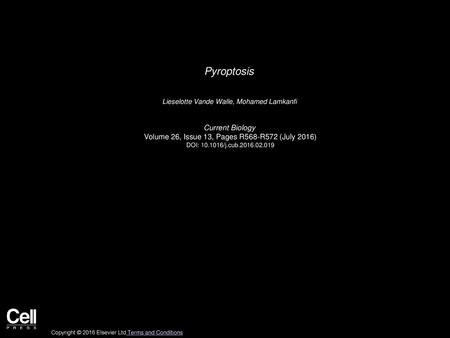 Pyroptosis Current Biology