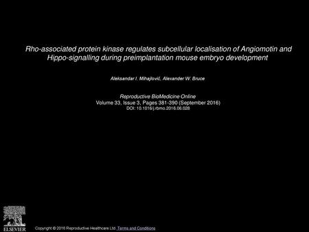 Rho-associated protein kinase regulates subcellular localisation of Angiomotin and Hippo-signalling during preimplantation mouse embryo development  Aleksandar.