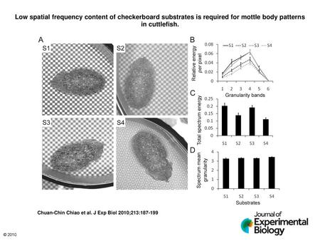 Low spatial frequency content of checkerboard substrates is required for mottle body patterns in cuttlefish. Low spatial frequency content of checkerboard.