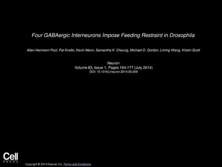 Four GABAergic Interneurons Impose Feeding Restraint in Drosophila