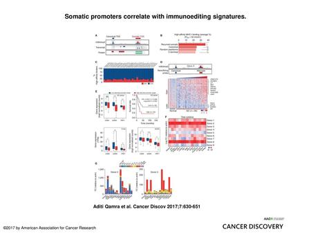 Somatic promoters correlate with immunoediting signatures.