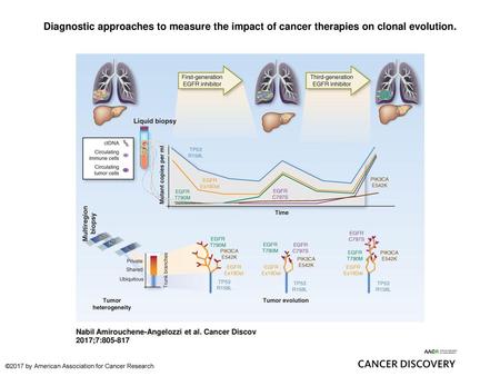 Diagnostic approaches to measure the impact of cancer therapies on clonal evolution. Diagnostic approaches to measure the impact of cancer therapies on.