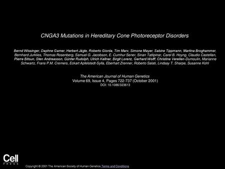 CNGA3 Mutations in Hereditary Cone Photoreceptor Disorders