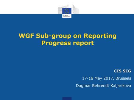WGF Sub-group on Reporting Progress report