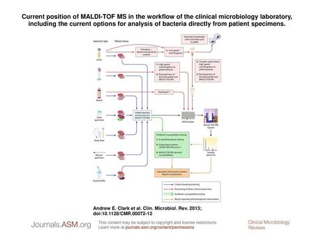 Current position of MALDI-TOF MS in the workflow of the clinical microbiology laboratory, including the current options for analysis of bacteria directly.