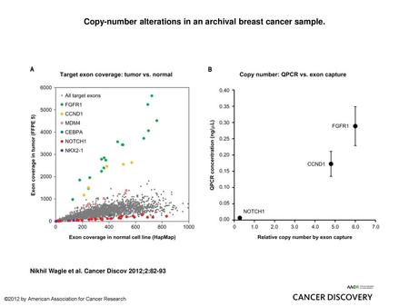 Copy-number alterations in an archival breast cancer sample.