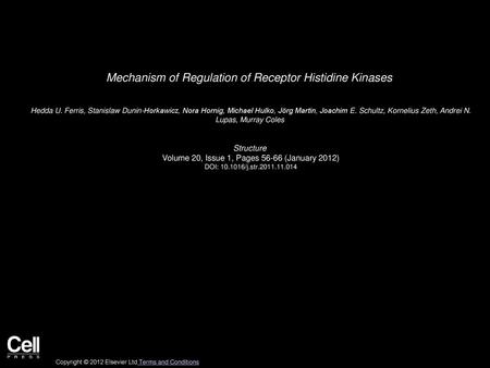 Mechanism of Regulation of Receptor Histidine Kinases