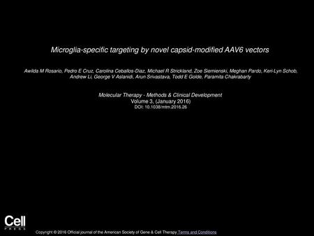 Microglia-specific targeting by novel capsid-modified AAV6 vectors