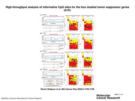 High-throughput analysis of informative CpG sites for the four studied tumor suppressor genes (A-D). High-throughput analysis of informative CpG sites.