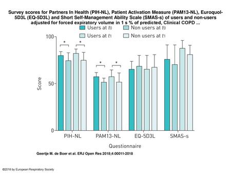 Survey scores for Partners In Health (PIH-NL), Patient Activation Measure (PAM13-NL), Euroquol-5D3L (EQ-5D3L) and Short Self-Management Ability Scale (SMAS-s)
