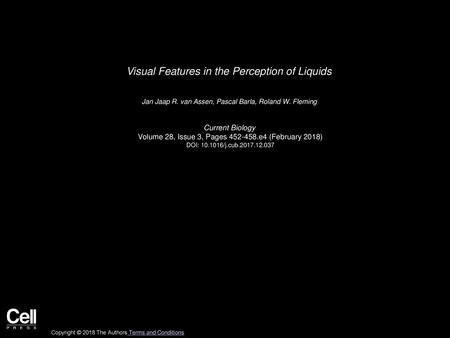 Visual Features in the Perception of Liquids