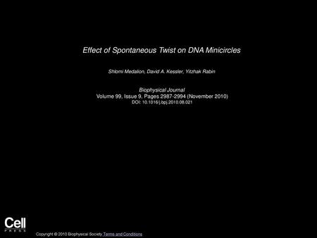 Effect of Spontaneous Twist on DNA Minicircles