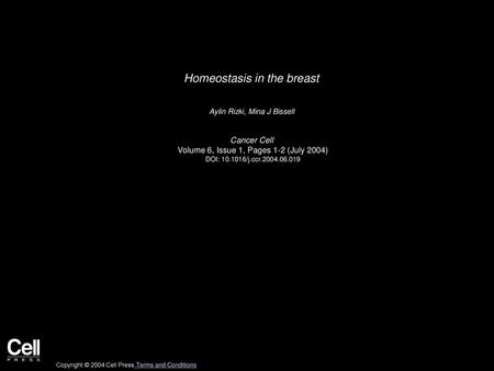 Homeostasis in the breast