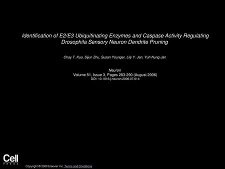 Identification of E2/E3 Ubiquitinating Enzymes and Caspase Activity Regulating Drosophila Sensory Neuron Dendrite Pruning  Chay T. Kuo, Sijun Zhu, Susan.