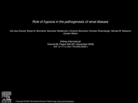 Role of hypoxia in the pathogenesis of renal disease
