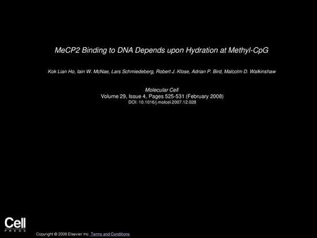 MeCP2 Binding to DNA Depends upon Hydration at Methyl-CpG
