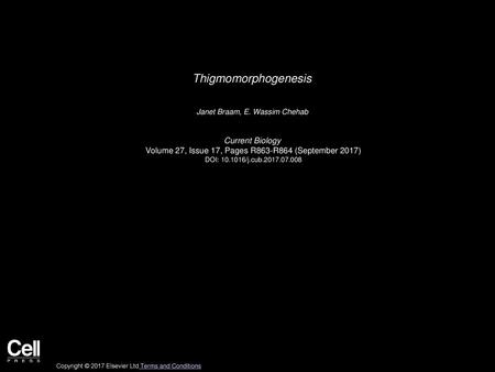 Thigmomorphogenesis Current Biology