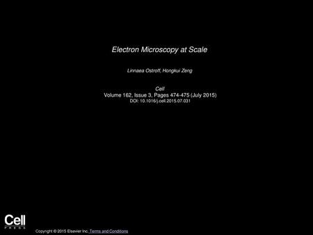 Electron Microscopy at Scale