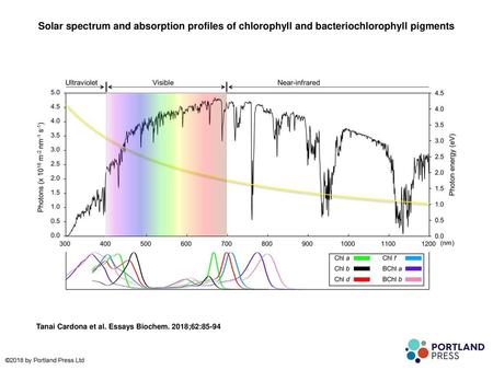 Solar spectrum and absorption profiles of chlorophyll and bacteriochlorophyll pigments Solar spectrum and absorption profiles of chlorophyll and bacteriochlorophyll.