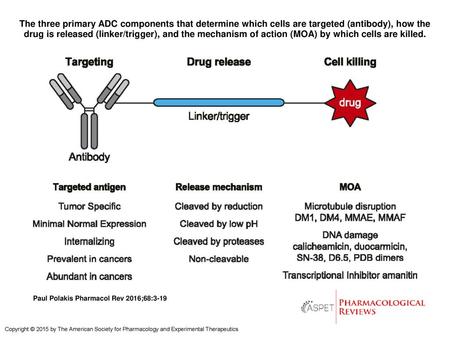 The three primary ADC components that determine which cells are targeted (antibody), how the drug is released (linker/trigger), and the mechanism of action.