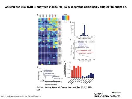 Antigen-specific TCRβ clonotypes map to the TCRβ repertoire at markedly different frequencies. Antigen-specific TCRβ clonotypes map to the TCRβ repertoire.