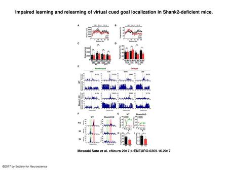Impaired learning and relearning of virtual cued goal localization in Shank2-deficient mice. Impaired learning and relearning of virtual cued goal localization.
