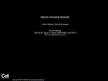 Marine microbial diversity
