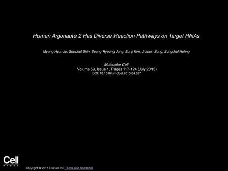 Human Argonaute 2 Has Diverse Reaction Pathways on Target RNAs