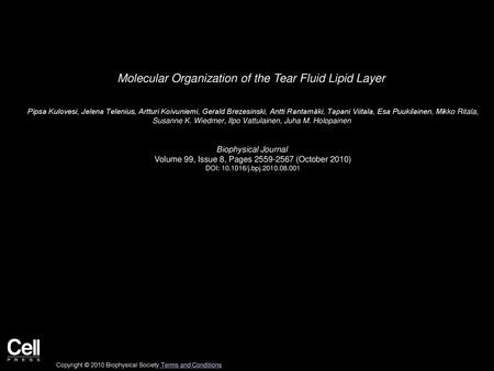 Molecular Organization of the Tear Fluid Lipid Layer