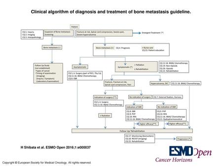 Clinical algorithm of diagnosis and treatment of bone metastasis guideline. Clinical algorithm of diagnosis and treatment of bone metastasis guideline.
