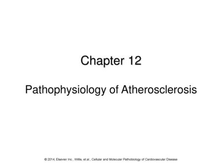 Chapter 12 Pathophysiology of Atherosclerosis