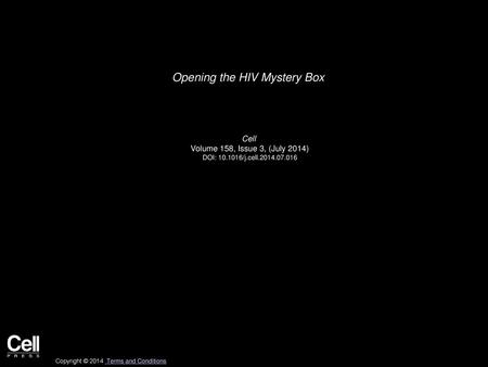 Opening the HIV Mystery Box
