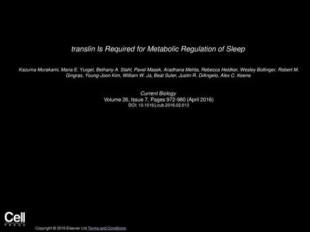 translin Is Required for Metabolic Regulation of Sleep