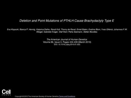 Deletion and Point Mutations of PTHLH Cause Brachydactyly Type E
