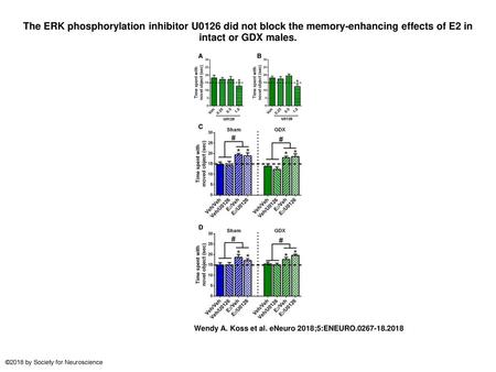 The ERK phosphorylation inhibitor U0126 did not block the memory-enhancing effects of E2 in intact or GDX males. The ERK phosphorylation inhibitor U0126.