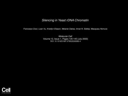 Silencing in Yeast rDNA Chromatin