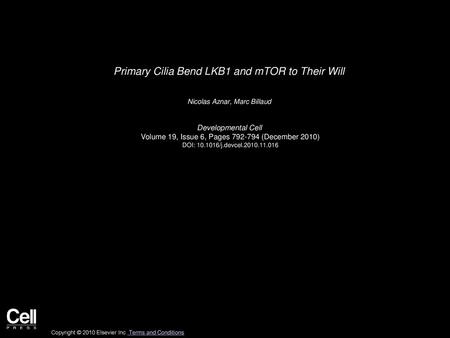 Primary Cilia Bend LKB1 and mTOR to Their Will
