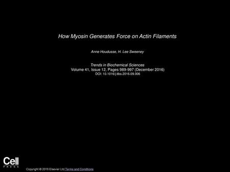 How Myosin Generates Force on Actin Filaments