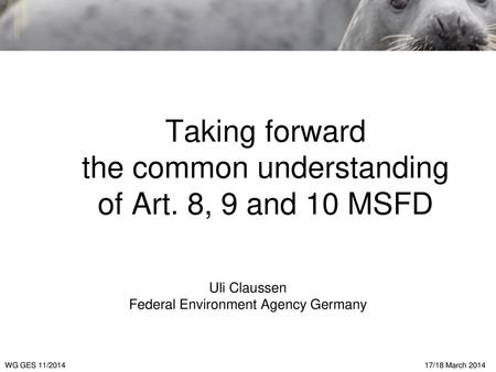 Taking forward the common understanding of Art. 8, 9 and 10 MSFD