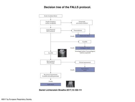 Decision tree of the FALLS protocol.