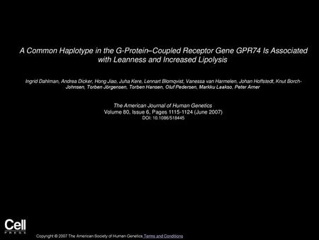 A Common Haplotype in the G-Protein–Coupled Receptor Gene GPR74 Is Associated with Leanness and Increased Lipolysis  Ingrid Dahlman, Andrea Dicker, Hong.