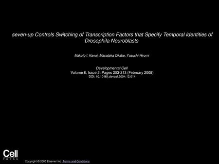 Seven-up Controls Switching of Transcription Factors that Specify Temporal Identities of Drosophila Neuroblasts  Makoto I. Kanai, Masataka Okabe, Yasushi.